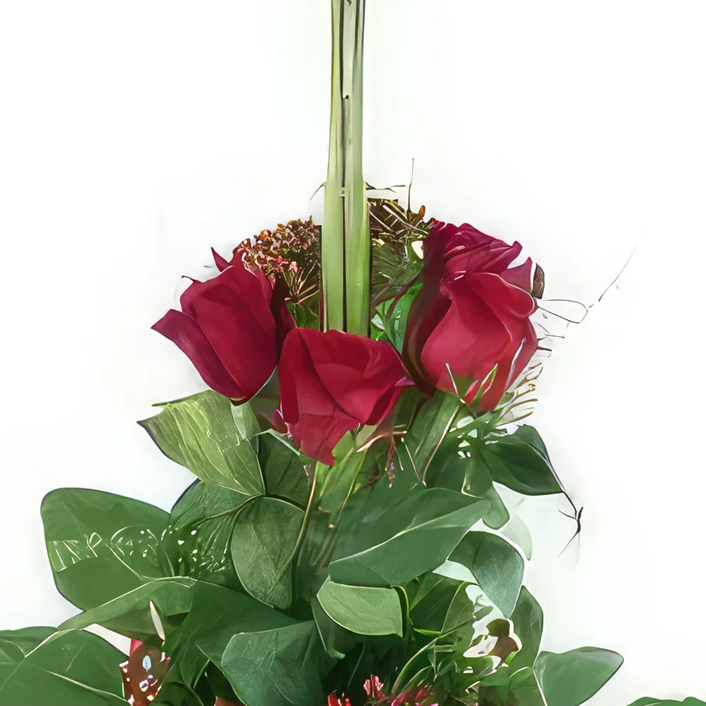 Pau-virágok- Hosszú csokor Zaragoza vörös rózsa Virágkötészeti csokor