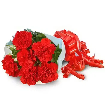 United Arab Emirates flowers  -  Love at First Sight Flower Delivery
