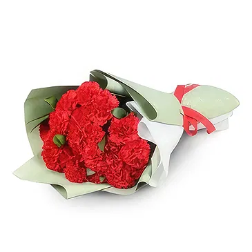 Garhoud flowers  -  Love Carnations Collection Flower Bouquet/Arrangement