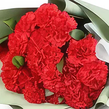 Garhoud flowers  -  Love Carnations Collection Flower Bouquet/Arrangement