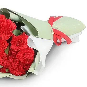 Garhoud flowers  -  Love Carnations Collection Flower Bouquet/Arrangement