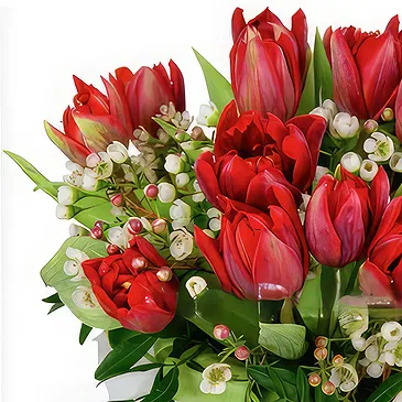 Greece flowers  -  Red Tulip Romance Flower Bouquet/Arrangement