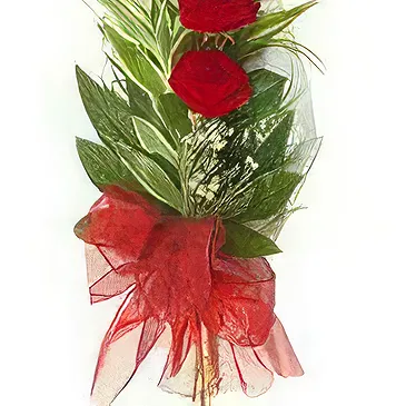 Smederevska Palanka flowers  -  Radiant Romance Flower Bouquet/Arrangement