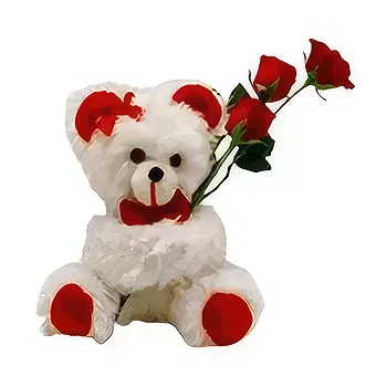Saudi Arabia flowers  -  3 Roses & Teddy bear Delivery