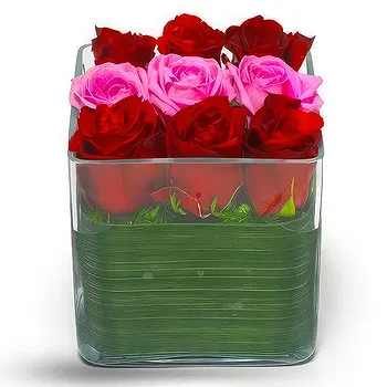 Serbia flowers  -  Heartfelt Roses Duo Flower Delivery