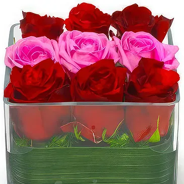 Prokuplje flowers  -  Heartfelt Roses Duo Flower Bouquet/Arrangement