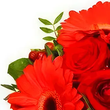 Smederevska Palanka flowers  -  Lovely Reds Flower Bouquet/Arrangement