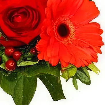 Smederevska Palanka flowers  -  Lovely Reds Flower Bouquet/Arrangement