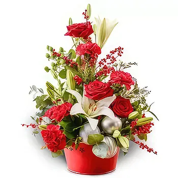 Antias flowers  -  Deep Love Flower Delivery