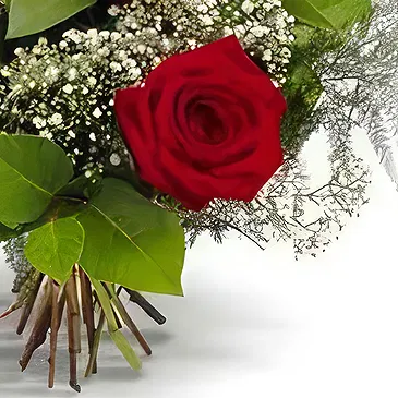 Prokuplje flowers  -  Blushing Beauty Flower Bouquet/Arrangement