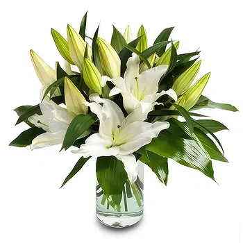 Madrid flowers  -  Graceful Lily Radiance Flower Delivery