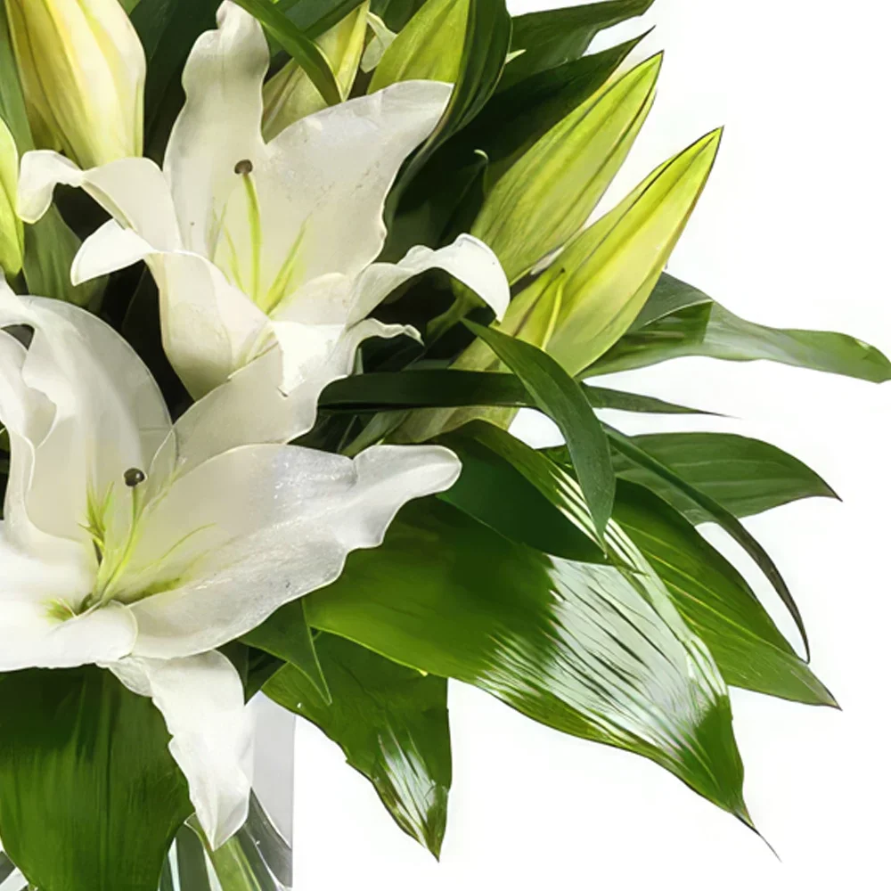 Torremolinos flowers  -  Graceful Lily Radiance Flower Bouquet/Arrangement