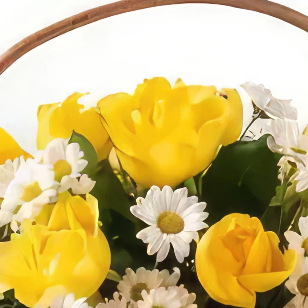 Belém kvety- Kôš so žltými a bielymi ružami a sedmokrásami Aranžovanie kytice
