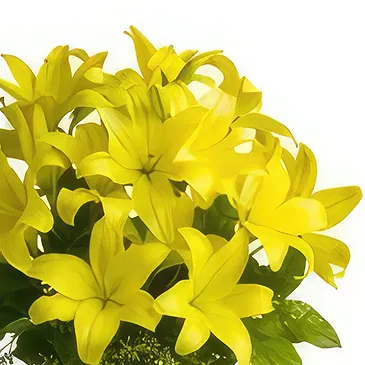 Vị Thanh flowers  -  Secret Admirer Flower Bouquet/Arrangement