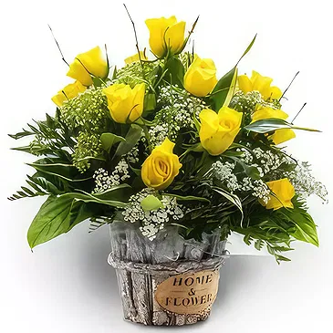 Palia Ampelia flowers  -  Sunny Brightness Flower Bouquet/Arrangement