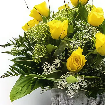Palia Ampelia flowers  -  Sunny Brightness Flower Bouquet/Arrangement