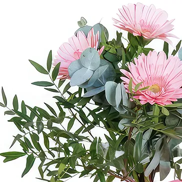 Greece flowers  -  Choco Gerbera Delight Flower Bouquet/Arrangement