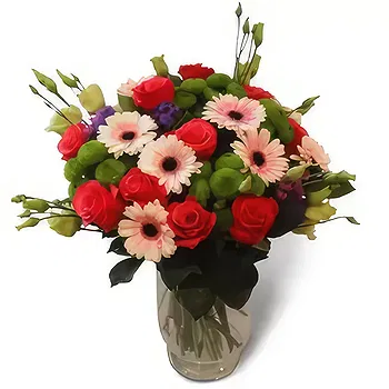Poland flowers  -  Mini Gerberas Flower Delivery