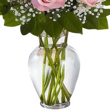 Prokuplje flowers  -  Blush Pinks Flower Bouquet/Arrangement