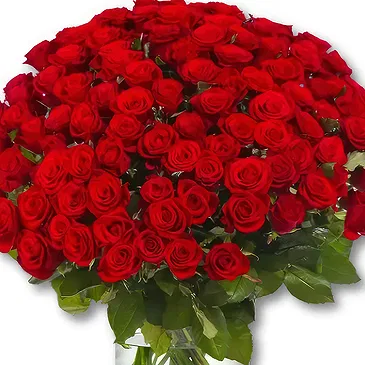 Amsterdam-Zuidoost flowers  -  100 Premium Red Roses - Red Naomi | Grower Flower Bouquet/Arrangement