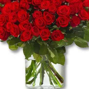 Amsterdam-Zuidoost flowers  -  100 Premium Red Roses - Red Naomi | Grower Flower Bouquet/Arrangement