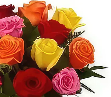 Sitrah blommor- 12 Blanda rosor Bukett/blomsterarrangemang