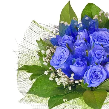 Italy flowers  -  Bunch of blue roses Flower Bouquet/Arrangement