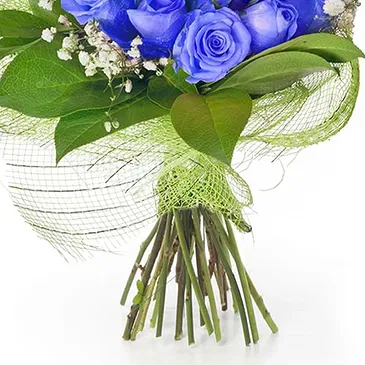 Italy flowers  -  Bunch of blue roses Flower Bouquet/Arrangement
