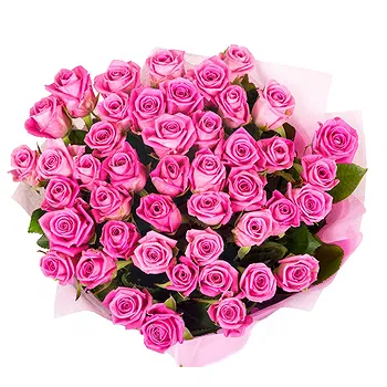 San Marino flowers  -  Bouquet of 50 Pink Roses for Birthday Flower Delivery