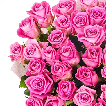 Italy flowers  -  Bouquet of 50 Pink Roses for Birthday Flower Bouquet/Arrangement
