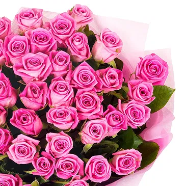 Italy flowers  -  Bouquet of 50 Pink Roses for Birthday Flower Bouquet/Arrangement