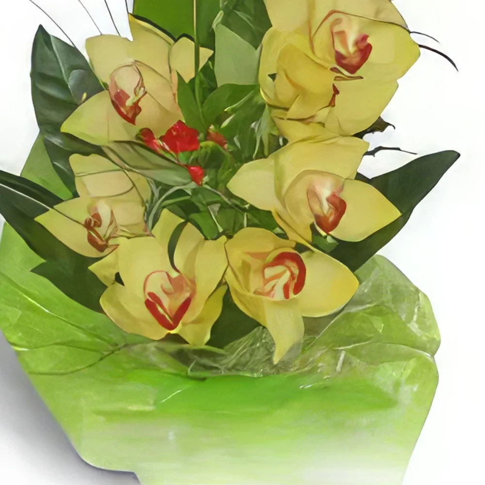 Krakow cvijeća- Zeleni buket Cvjetni buket/aranžman