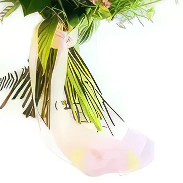 Ouled Maaref flowers  -  Summer breeze Flower Bouquet/Arrangement