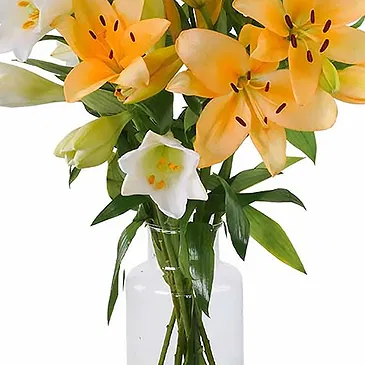 Amsterdam-Zuidoost flowers  -  Charming  Collection Flower Bouquet/Arrangement