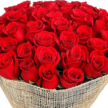 Oman flowers  -  50 Red Roses Bouquet Flower Bouquet/Arrangement