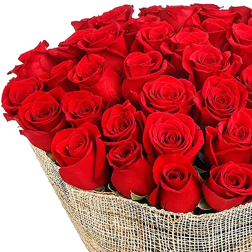 Oman flowers  -  50 Red Roses Bouquet Flower Bouquet/Arrangement