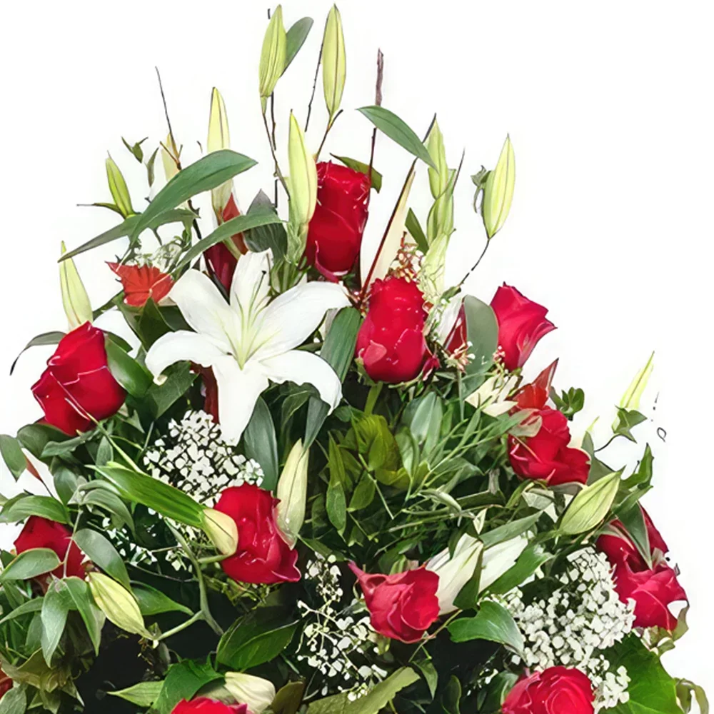 ดอกไม้ บายาโดลิด - โรส บลัช ลิลลี่ เลานจ์ ช่อดอกไม้/การจัดวางดอกไม้
