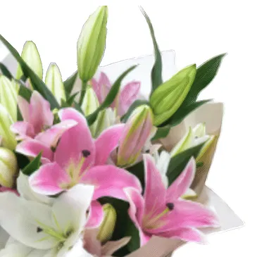 flores de Amã- Bando de Lírios Bouquet/arranjo de flor