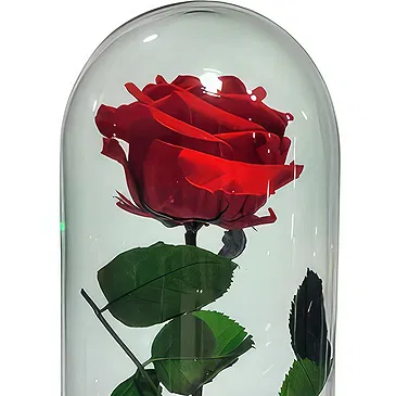 Colombia flowers  -  Luxury Preserved Rose in Glass Dome Flower Bouquet/Arrangement