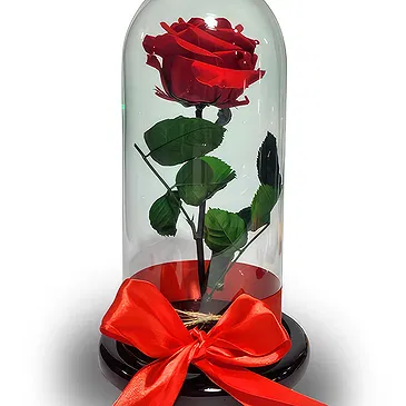 Colombia flowers  -  Luxury Preserved Rose in Glass Dome Flower Bouquet/Arrangement