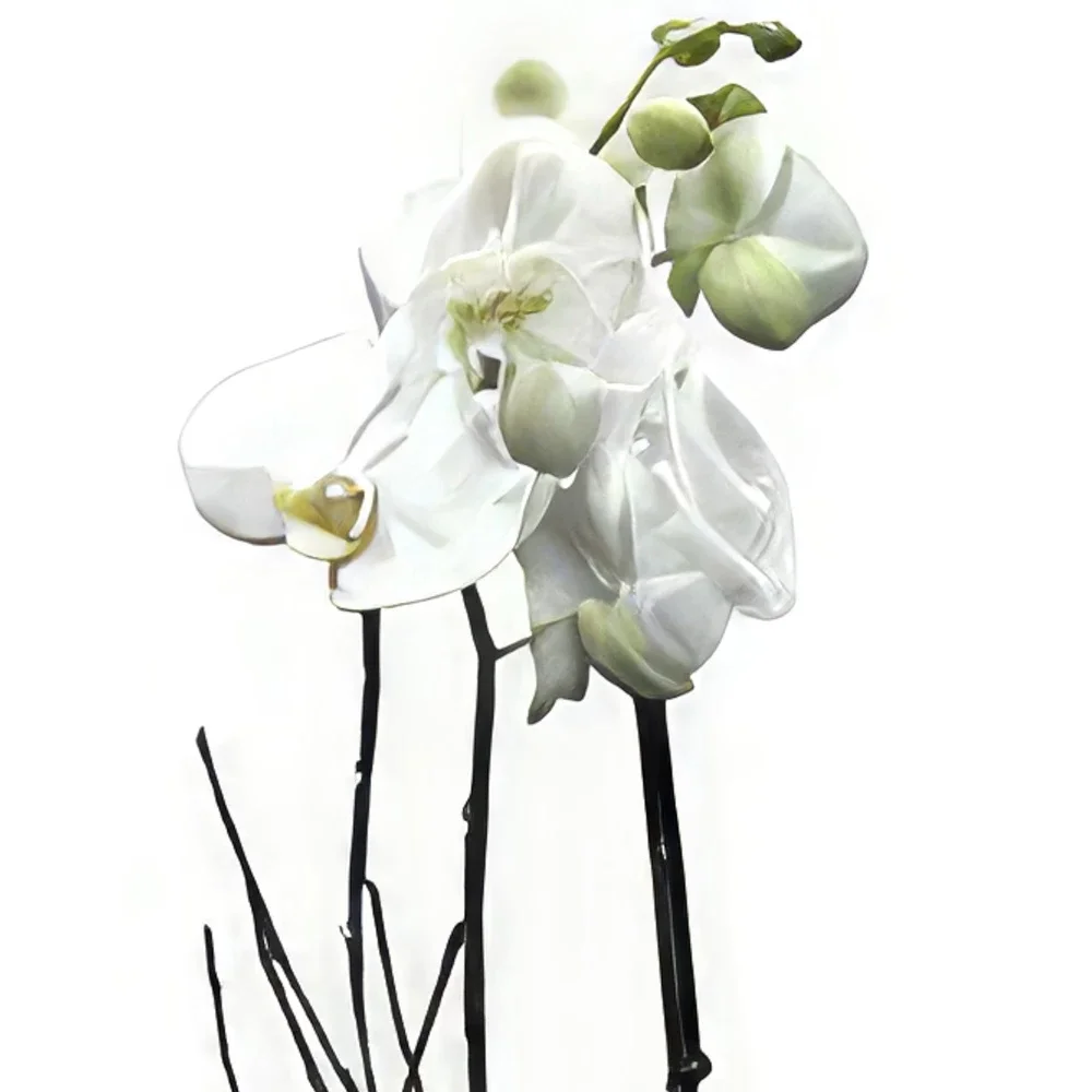 Cascais Blumen Florist- Zartheit und Schönheit Bouquet/Blumenschmuck