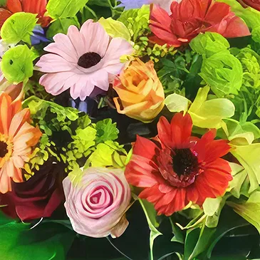 Baharu Rompin blomster- Magi Blomst buket/Arrangement