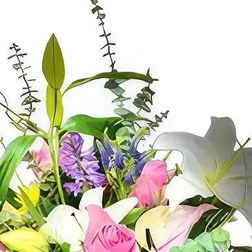 Smederevska Palanka flowers  -  Symbol of Pureness Flower Bouquet/Arrangement