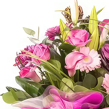 Palia Ampelia flowers  -  Valentine's Gift Flower Bouquet/Arrangement