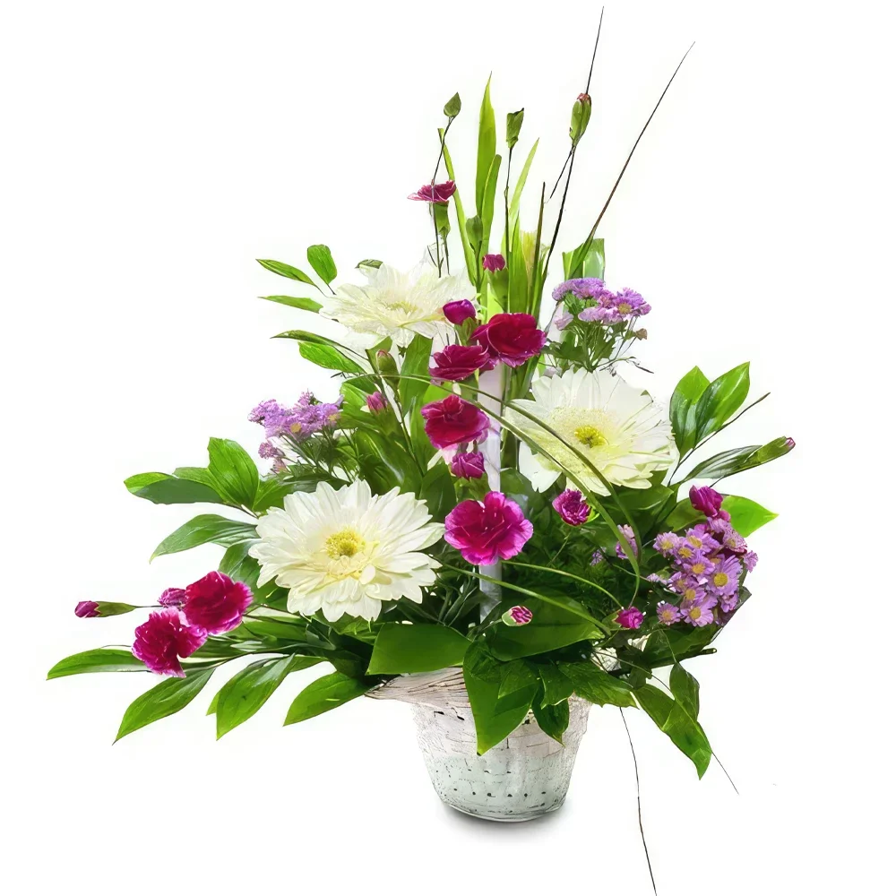 ดอกไม้ บายาโดลิด - เมดเล่ย์ ไวลด์ คอลเลคชั่น ช่อดอกไม้/การจัดวางดอกไม้