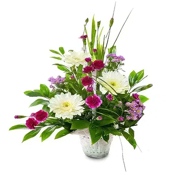 Madrid flowers  -   Medley Wild Collection Flower Delivery