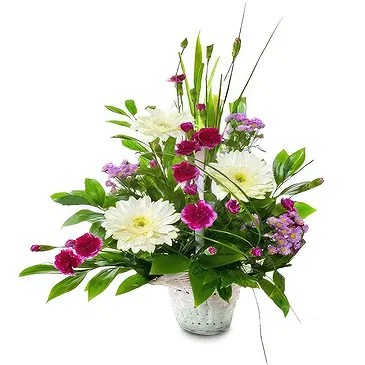 Mijas / Mijas Costa flowers  -   Medley Wild Collection Flower Bouquet/Arrangement