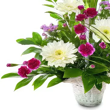 Mijas / Mijas Costa flowers  -   Medley Wild Collection Flower Bouquet/Arrangement