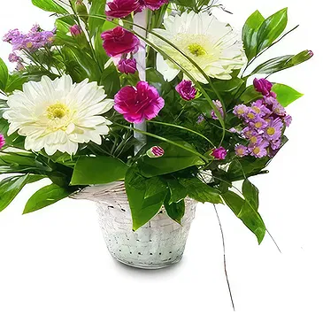 Mijas / Mijas Costa flowers  -   Medley Wild Collection Flower Bouquet/Arrangement