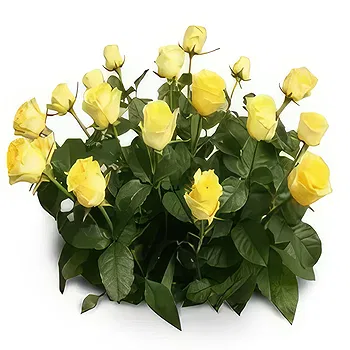 Antias flowers  -  Parental Love Flower Delivery
